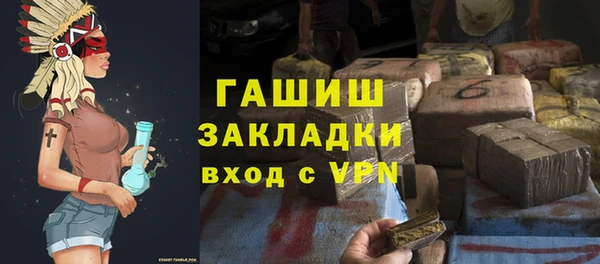 индика Алзамай