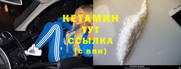ALPHA-PVP Новозыбков