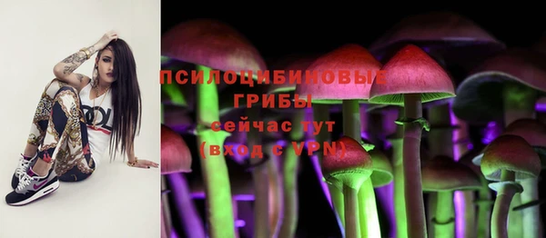 индика Алзамай