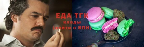 индика Алзамай