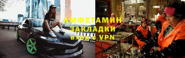 индика Алзамай