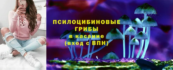 индика Алзамай