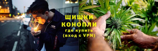 индика Алзамай