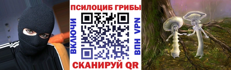где продают Апатиты Галлюциногенные грибы прущие грибы