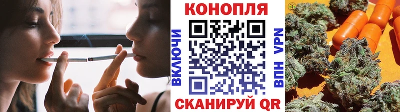купить наркотики сайты Апатиты Бошки Шишки OG Kush